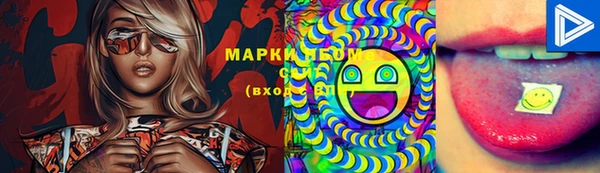стаф Заволжье