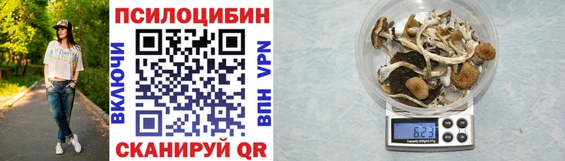 Галлюциногенные грибы мухоморы  Купить где  Ефремов 